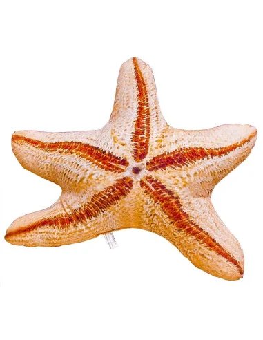 Gaby fish cushion Big Starfish 50cm, plush fish, stuffed animal-Big Fish-JJ-Fishing