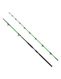 Delphin Monster Cat Wels Set - Angelrute & Angelrolle-Catfish rods-JJ-Fishing 2