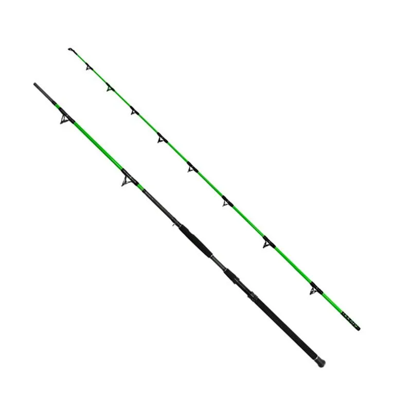 Delphin Monster Cat Wels Set - Angelrute & Angelrolle-Welsruten-JJ-Fishing