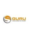 Guru